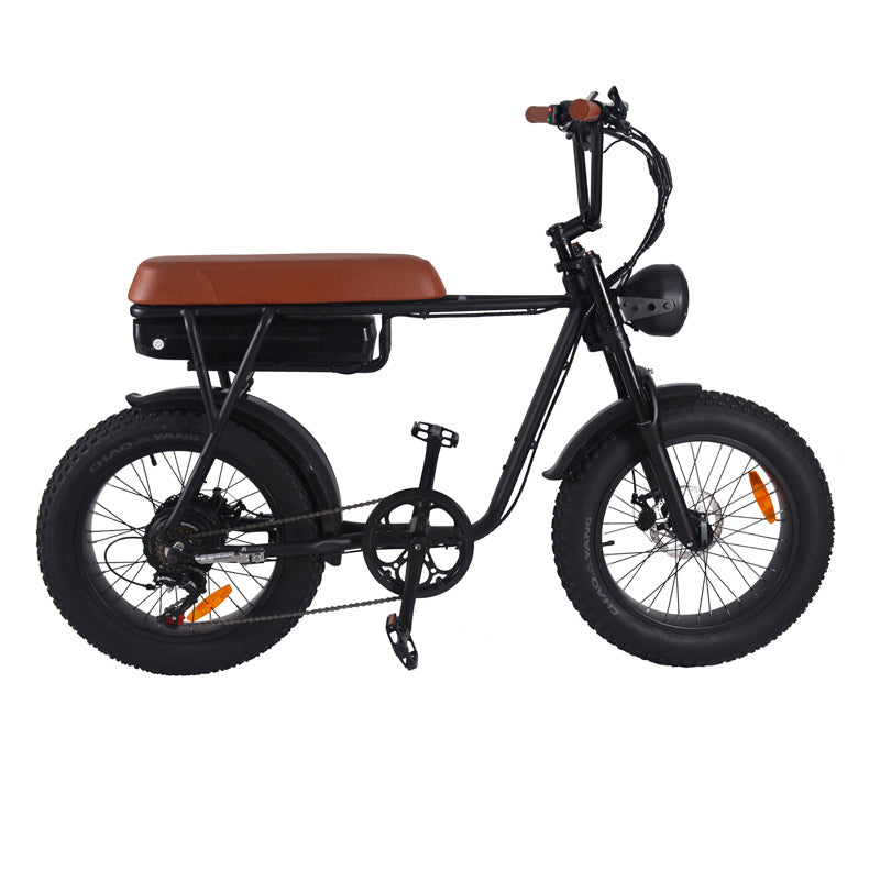 Electric Fatbike SaiBaike
