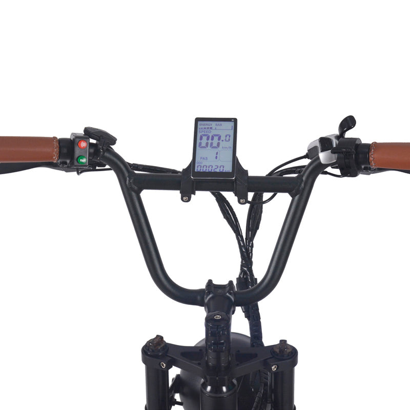 Electric Fatbike SaiBaike
