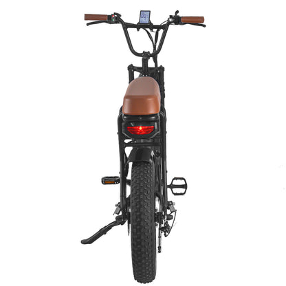 Electric Fatbike SaiBaike
