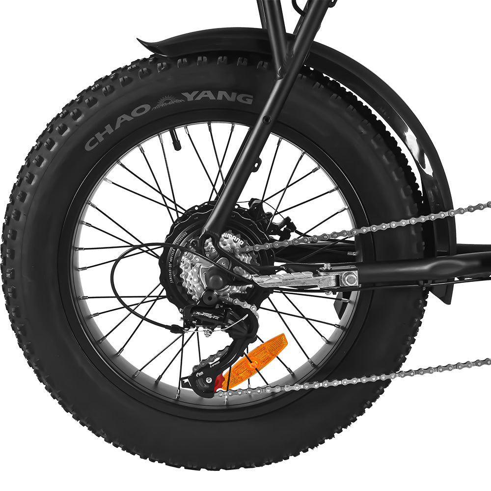 Electric FatBike SaiBaike