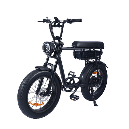 Electric FatBike SaiBaike