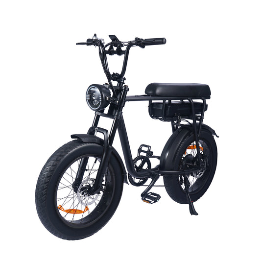 Electric FatBike SaiBaike