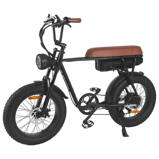 Electric Fatbike SaiBaike