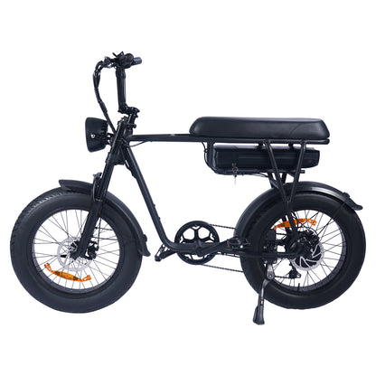 Electric FatBike SaiBaike